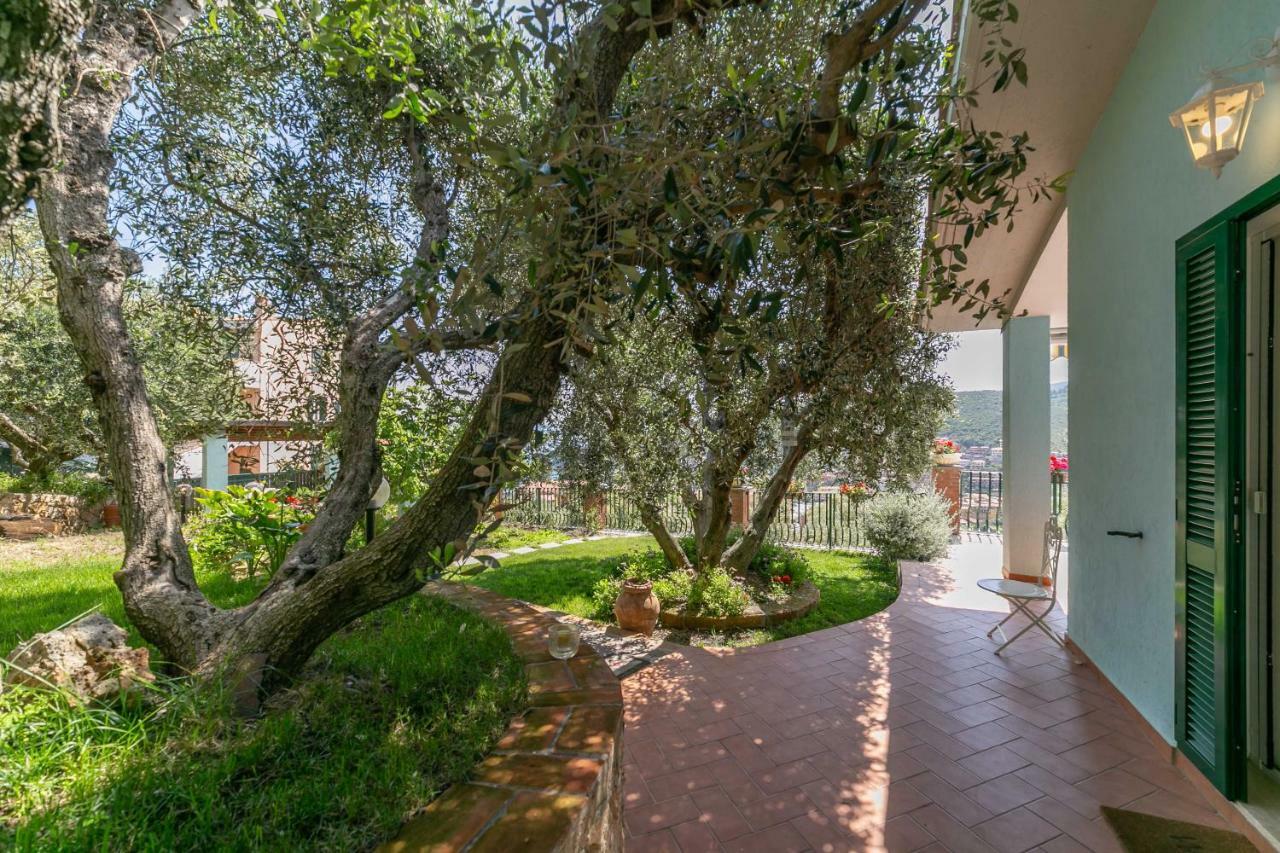 Villino Giordy Lejlighed Porto Santo Stefano  Eksteriør billede